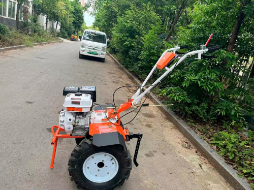 Мотоблок PROFI MOTORS 190P с бензиновым двигателем