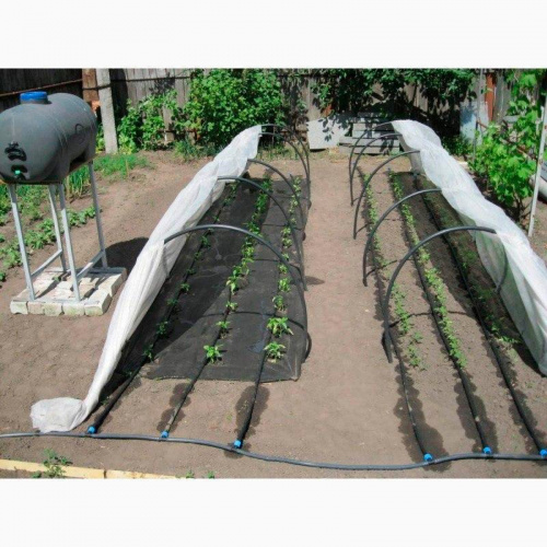 Автоматический полив огорода