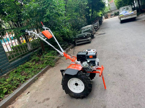 Мотоблок PROFI MOTORS 190P