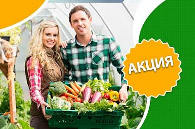 Теплицы из поликарбоната по акции «Экономь с соседом»