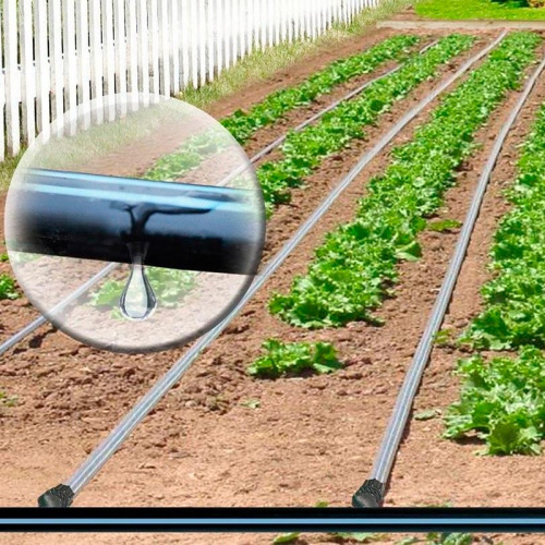 Капельный полив фото на дачном участке